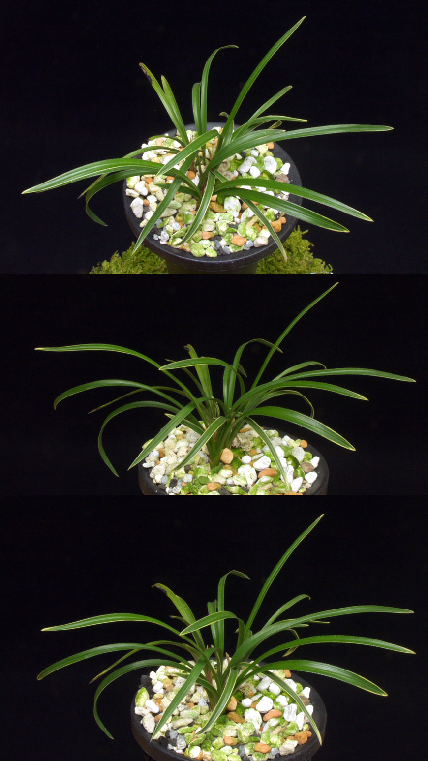 ������ ū������ �� �� �ֽ��ϴ�.