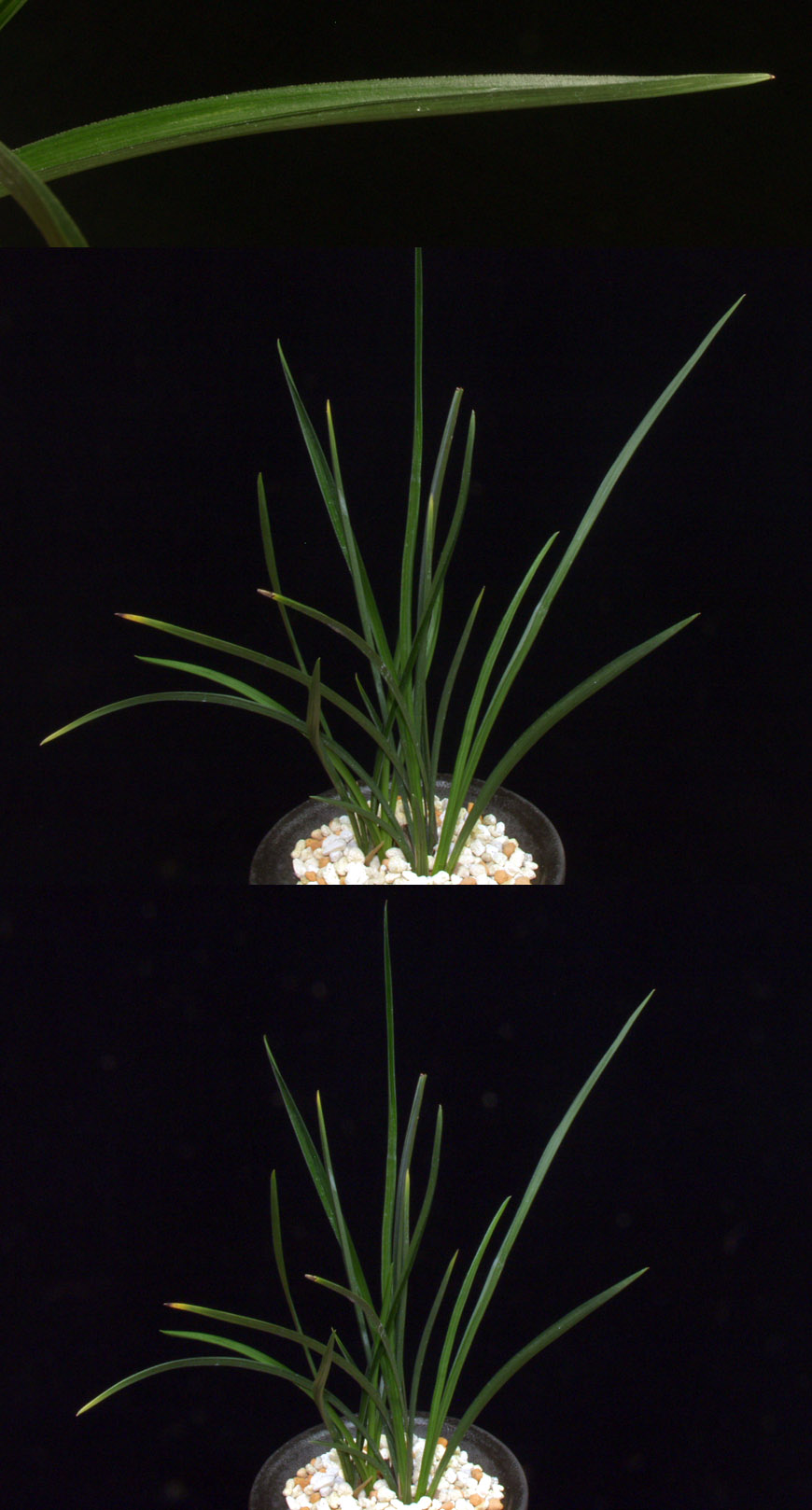 ������ ū������ �� �� �ֽ��ϴ�.