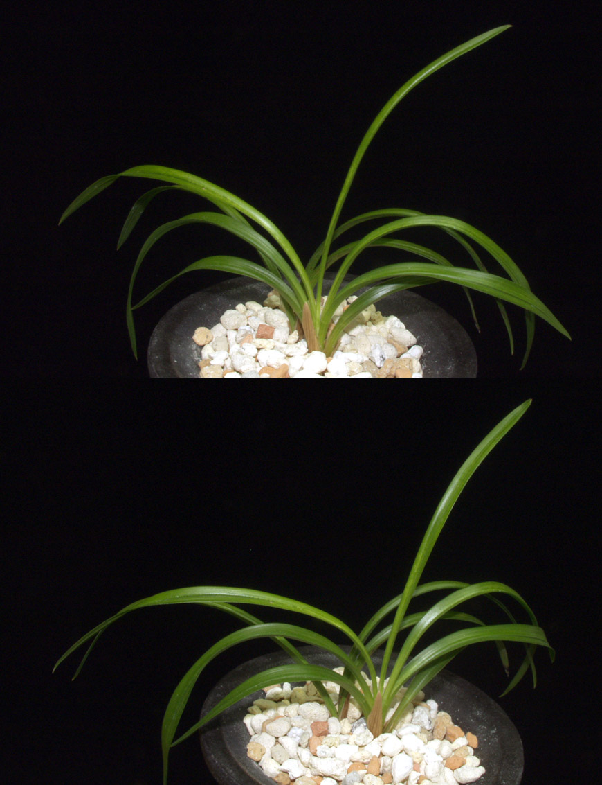 ������ ū������ �� �� �ֽ��ϴ�.