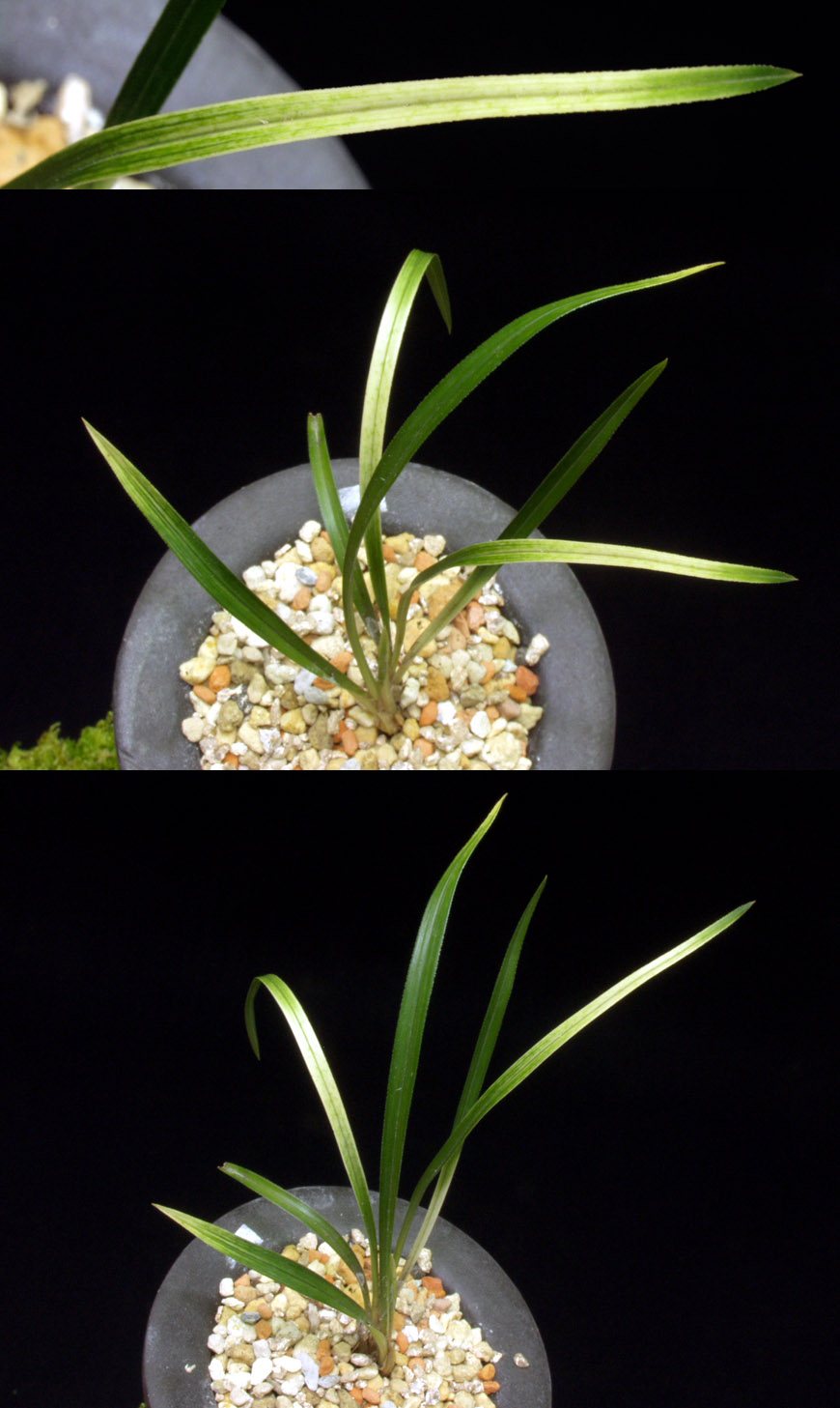 ������ ū������ �� �� �ֽ��ϴ�.