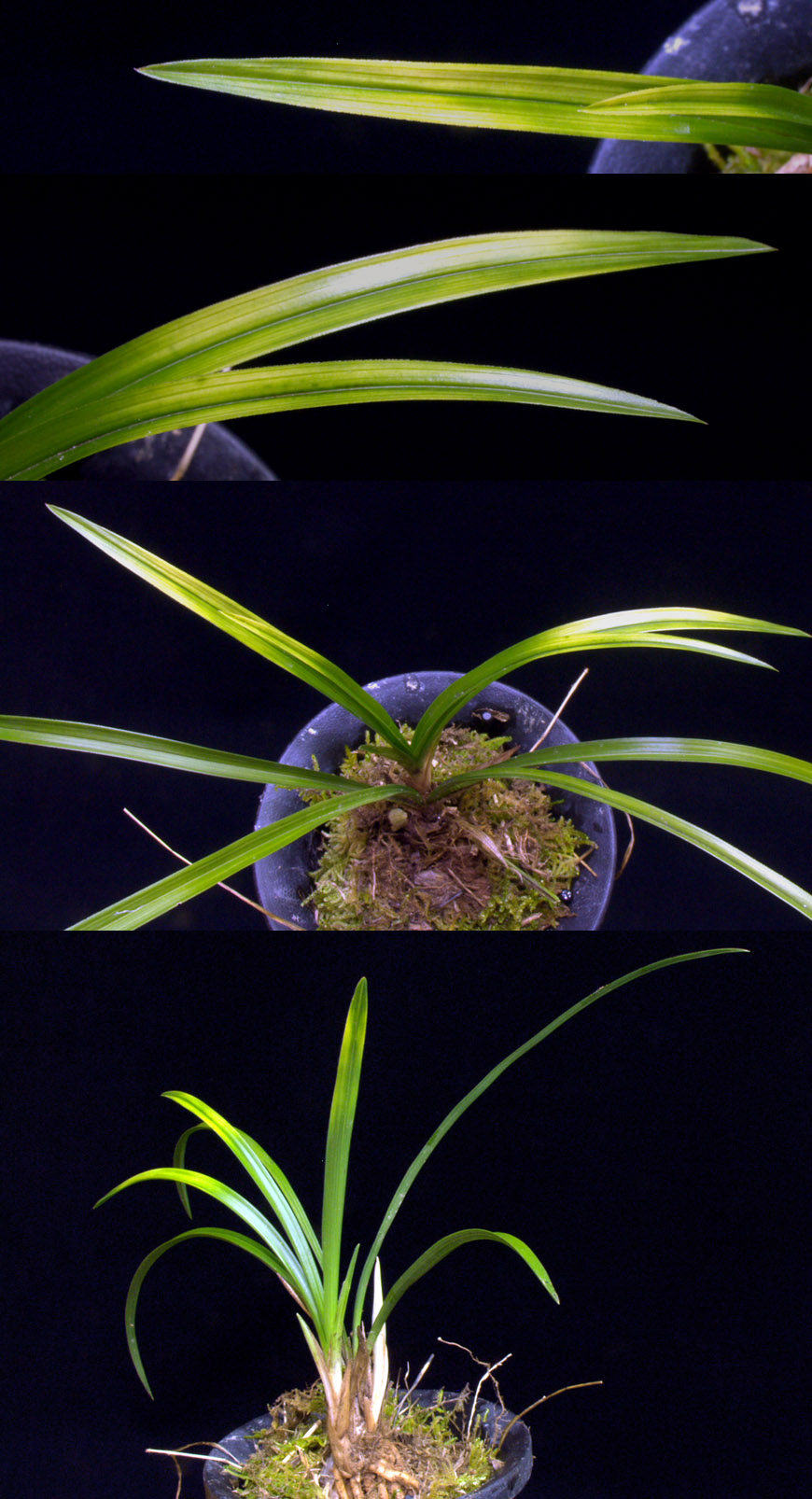 ������ ū������ �� �� �ֽ��ϴ�.