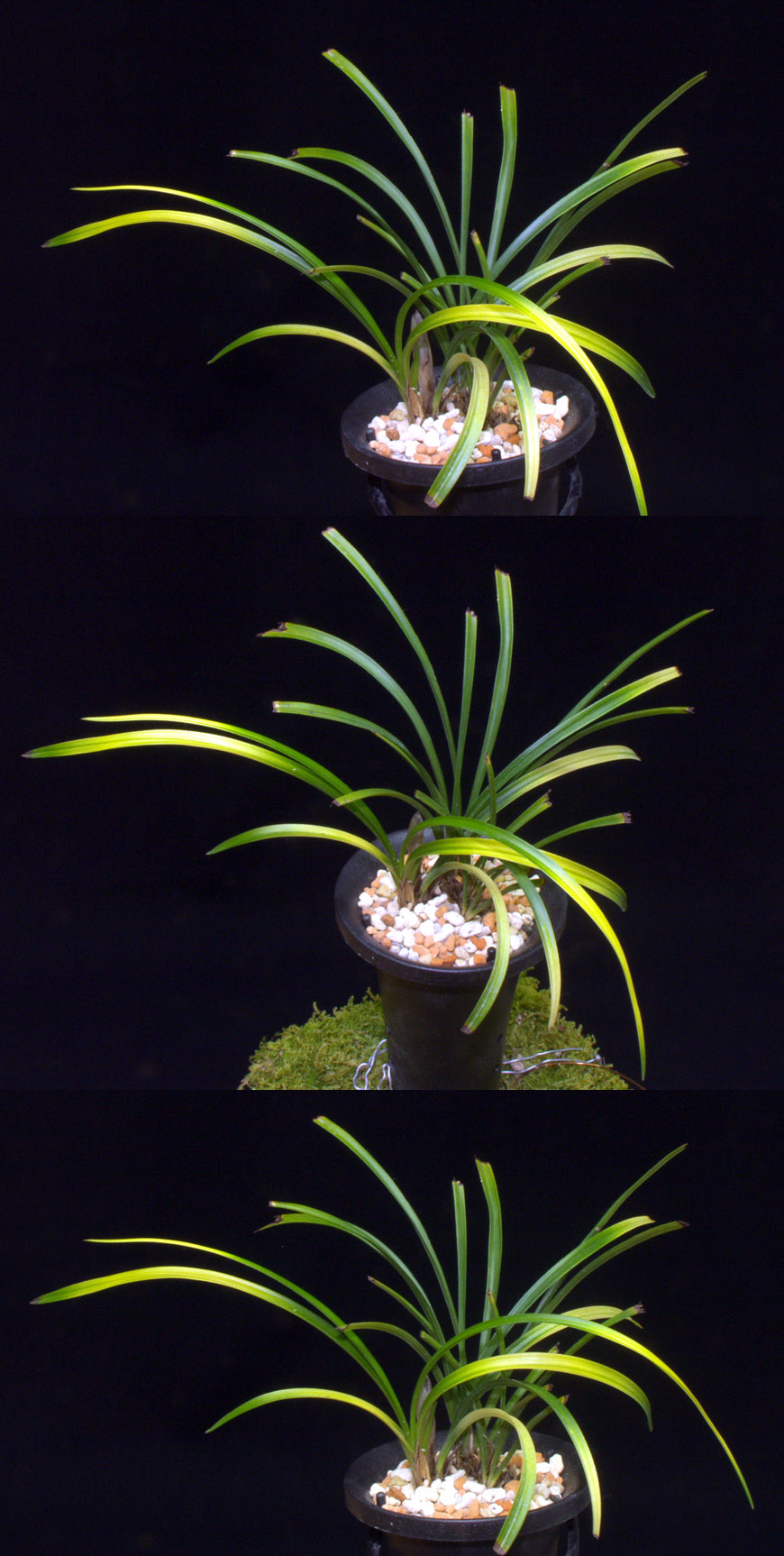 ������ ū������ �� �� �ֽ��ϴ�.