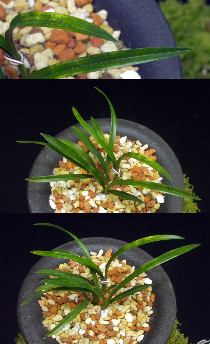 ������ ū������ �� �� �ֽ��ϴ�.