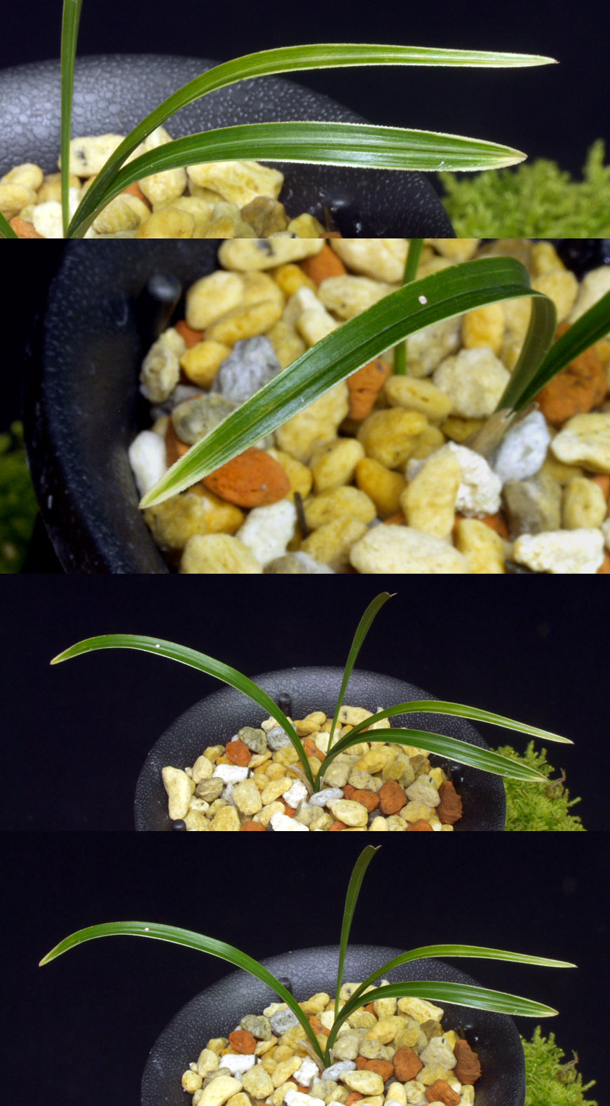 ������ ū������ �� �� �ֽ��ϴ�.