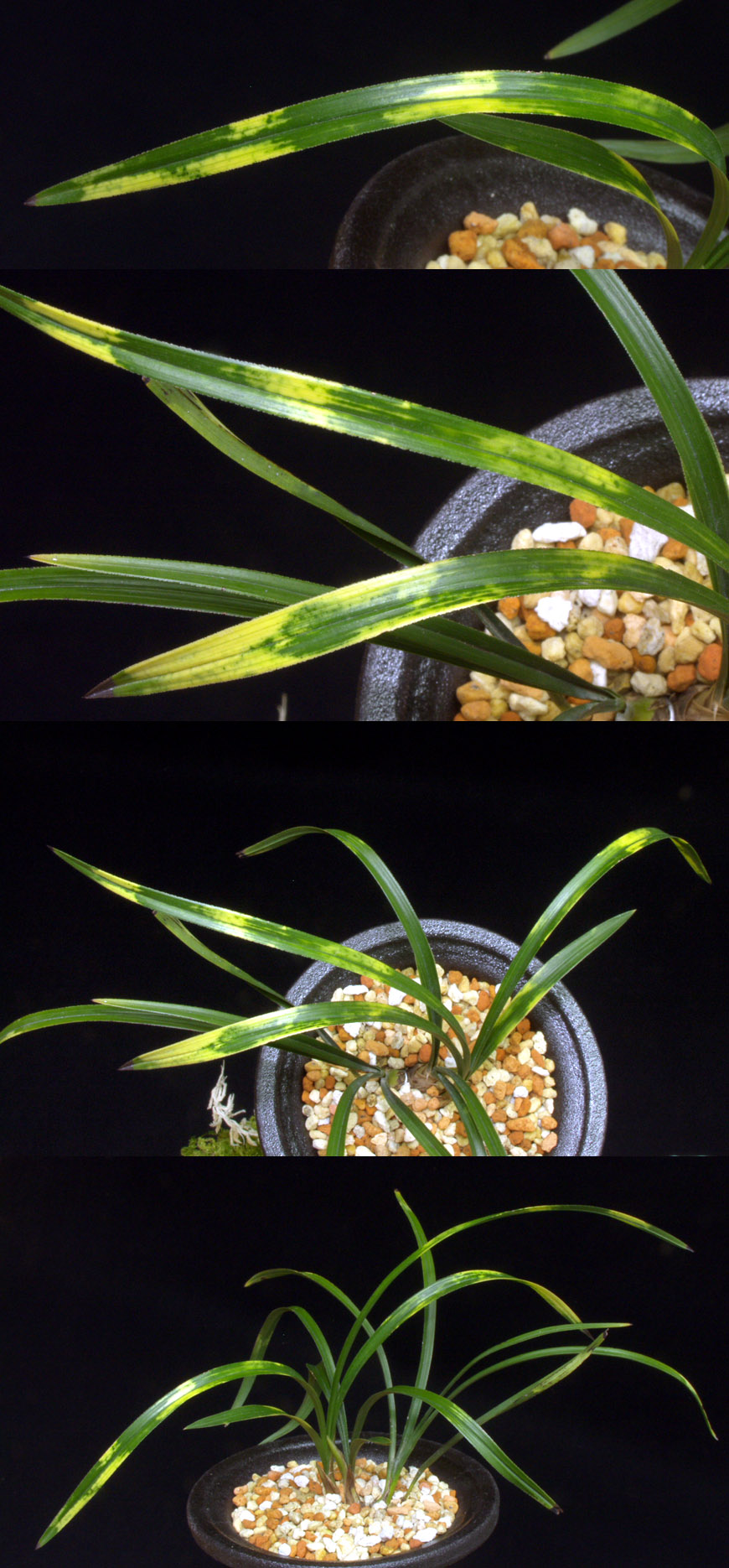 ������ ū������ �� �� �ֽ��ϴ�.