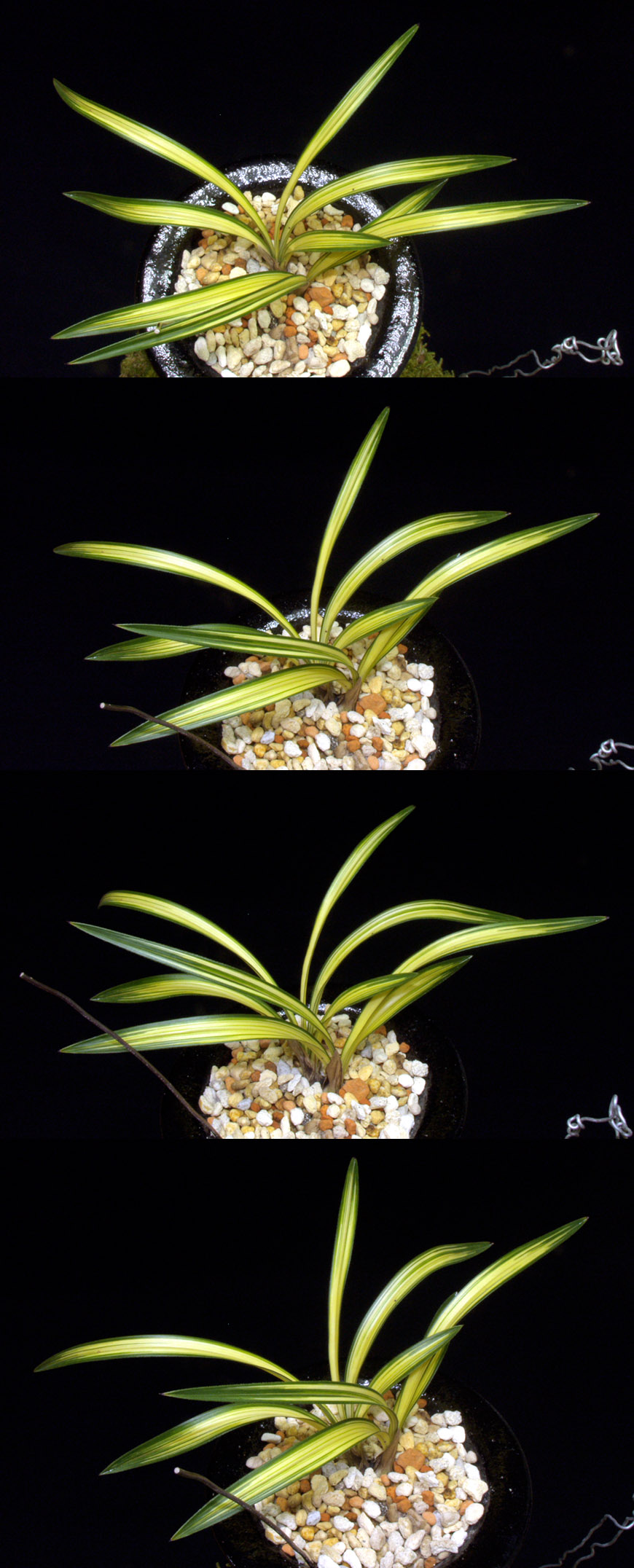 ������ ū������ �� �� �ֽ��ϴ�.