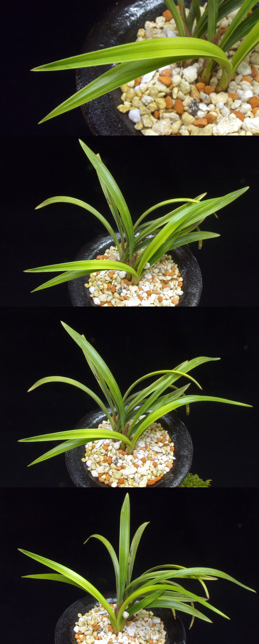 ������ ū������ �� �� �ֽ��ϴ�.