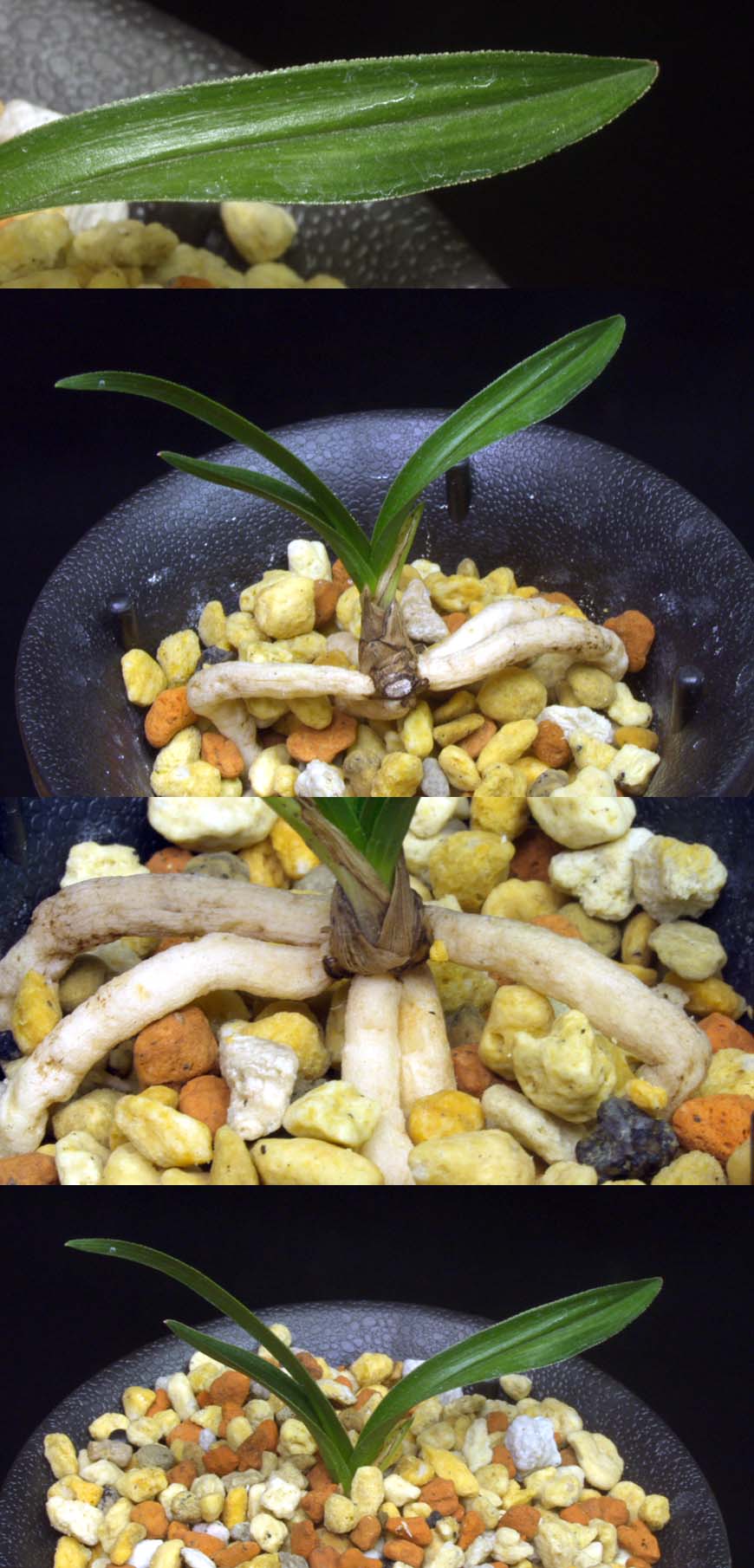 ������ ū������ �� �� �ֽ��ϴ�.