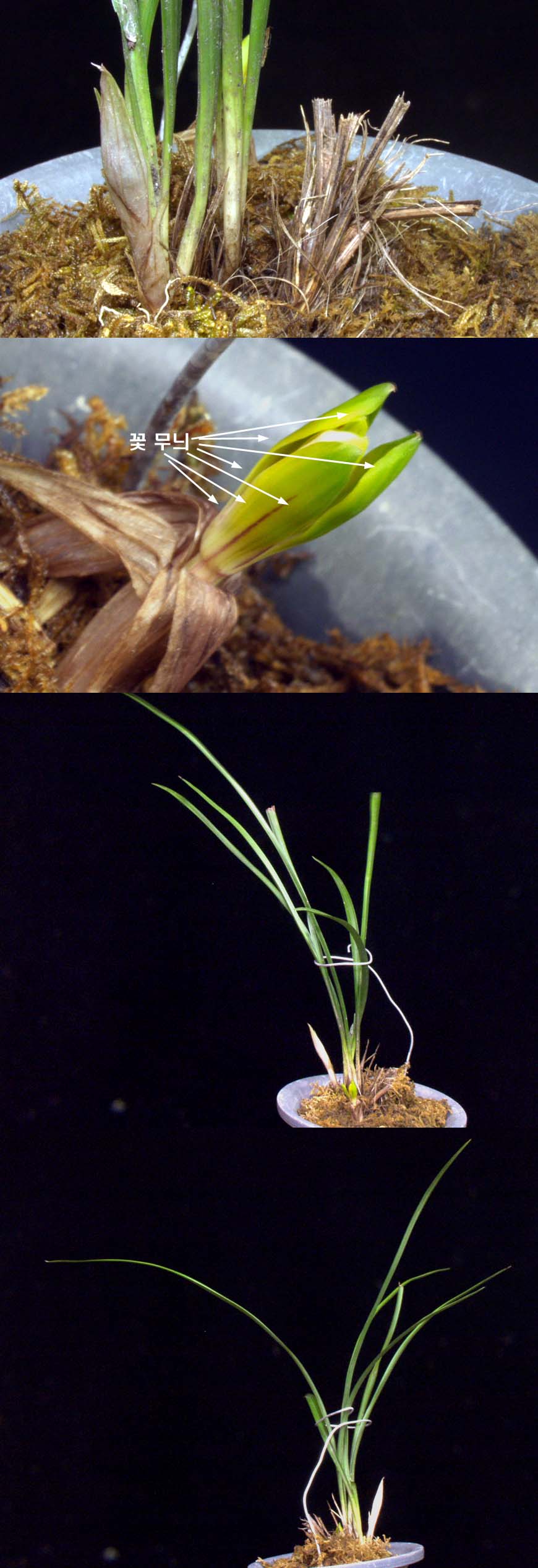 ������ ū������ �� �� �ֽ��ϴ�.