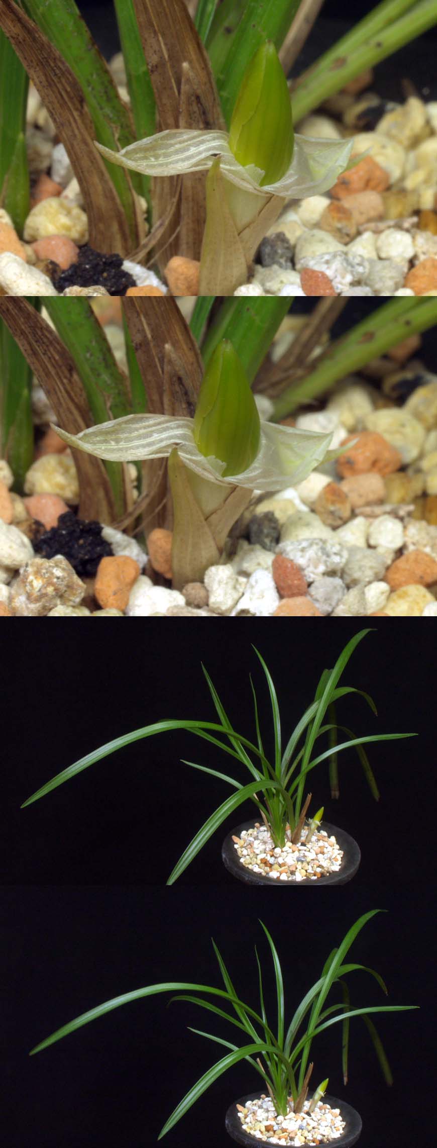 ������ ū������ �� �� �ֽ��ϴ�.