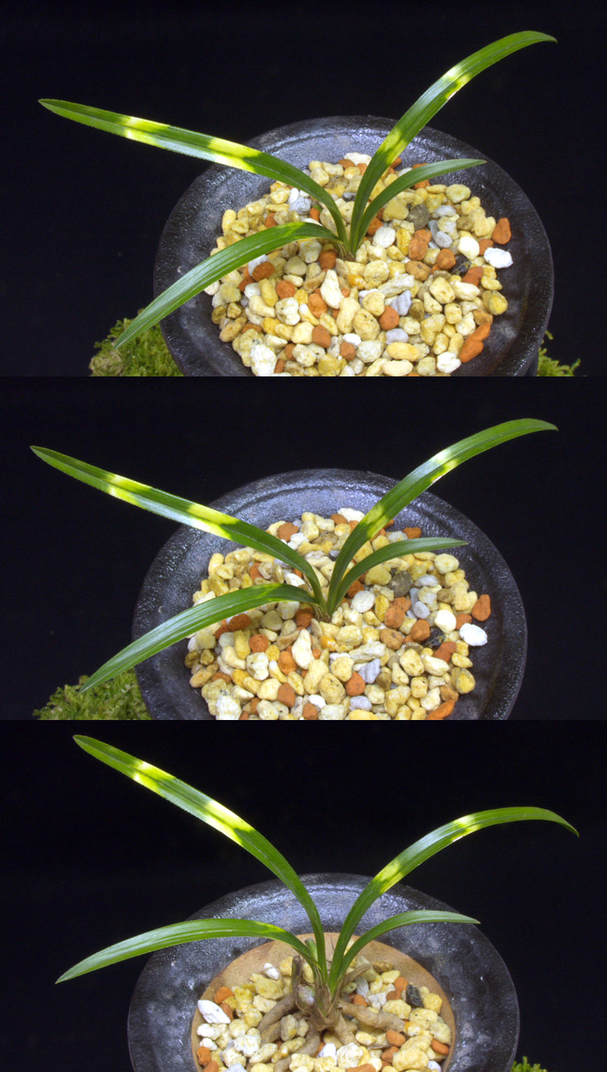 ������ ū������ �� �� �ֽ��ϴ�.