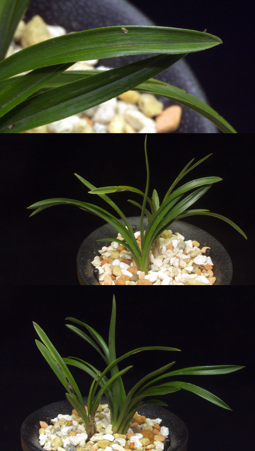 ������ ū������ �� �� �ֽ��ϴ�.