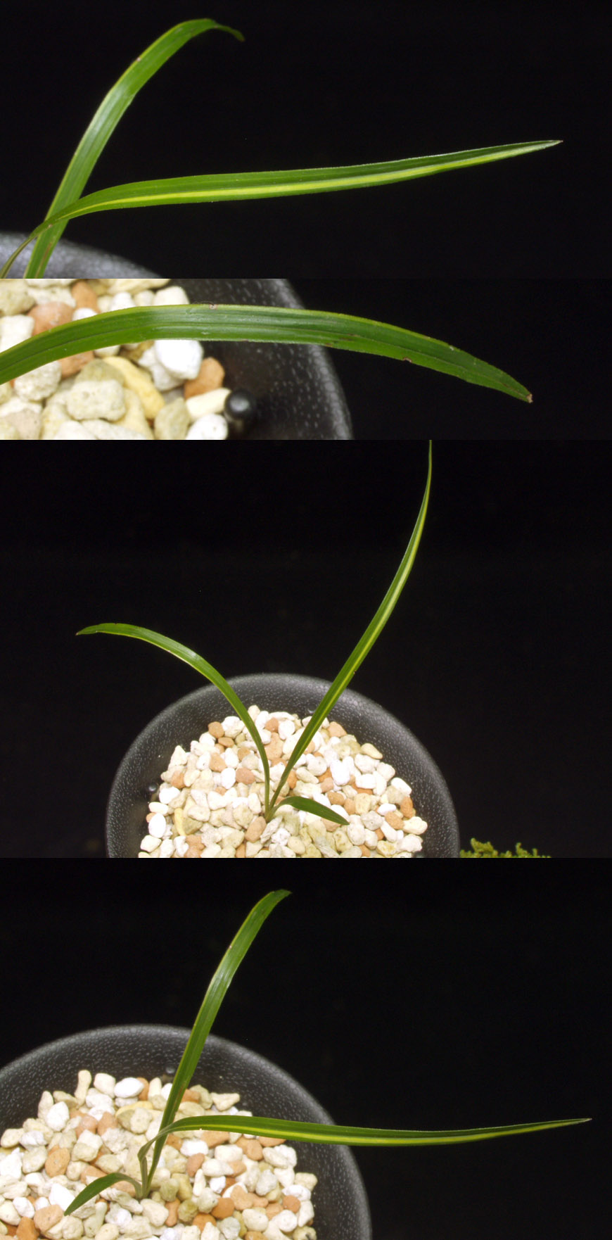 ������ ū������ �� �� �ֽ��ϴ�.