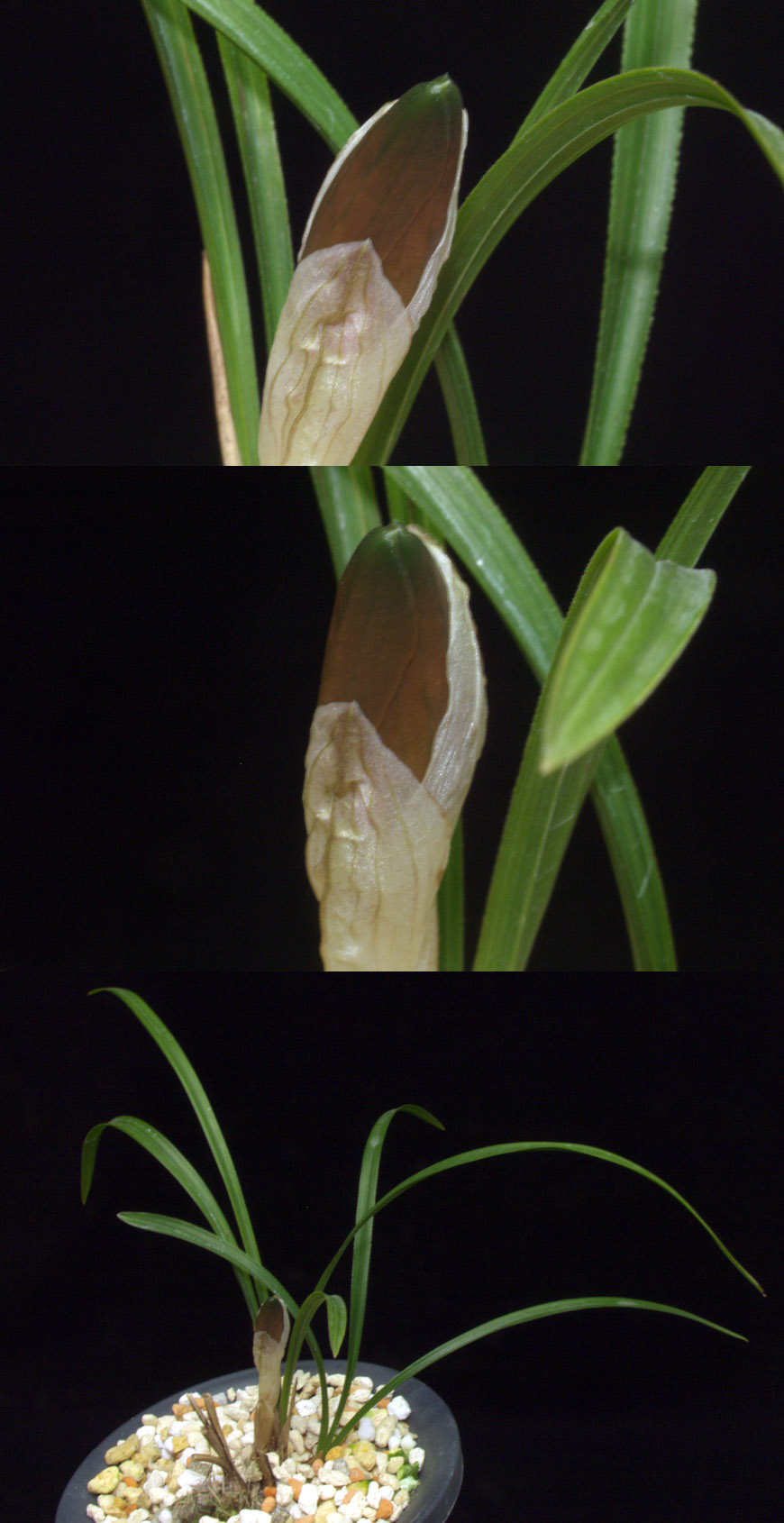 ������ ū������ �� �� �ֽ��ϴ�.