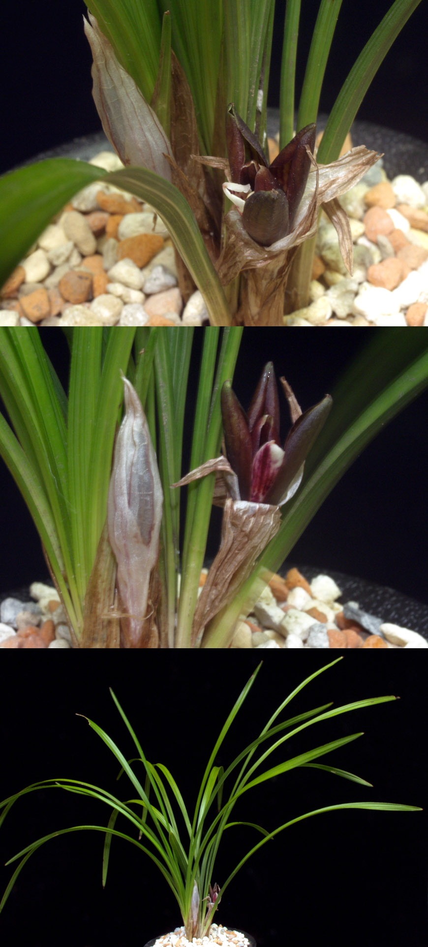 ������ ū������ �� �� �ֽ��ϴ�.