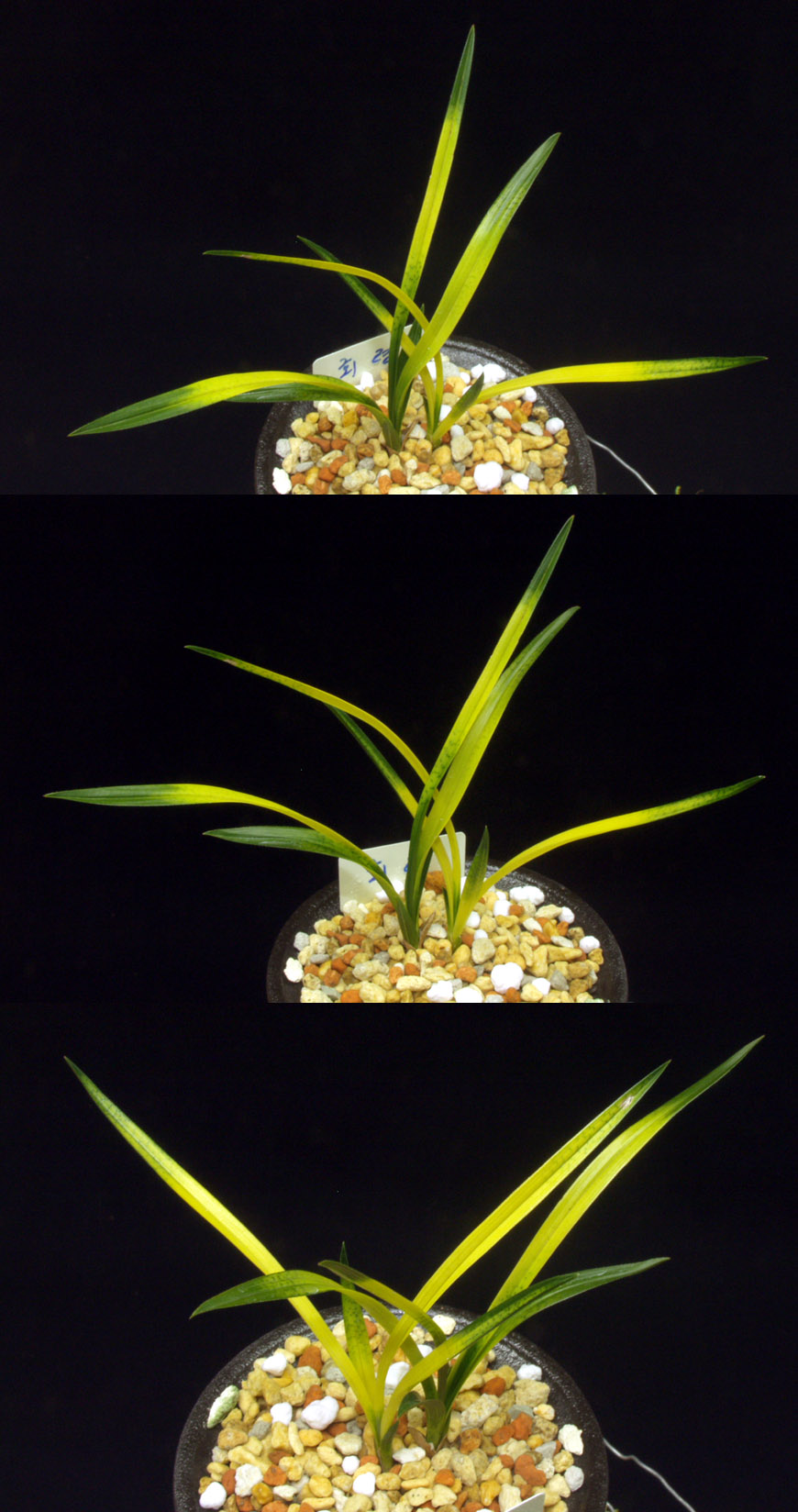 ������ ū������ �� �� �ֽ��ϴ�.