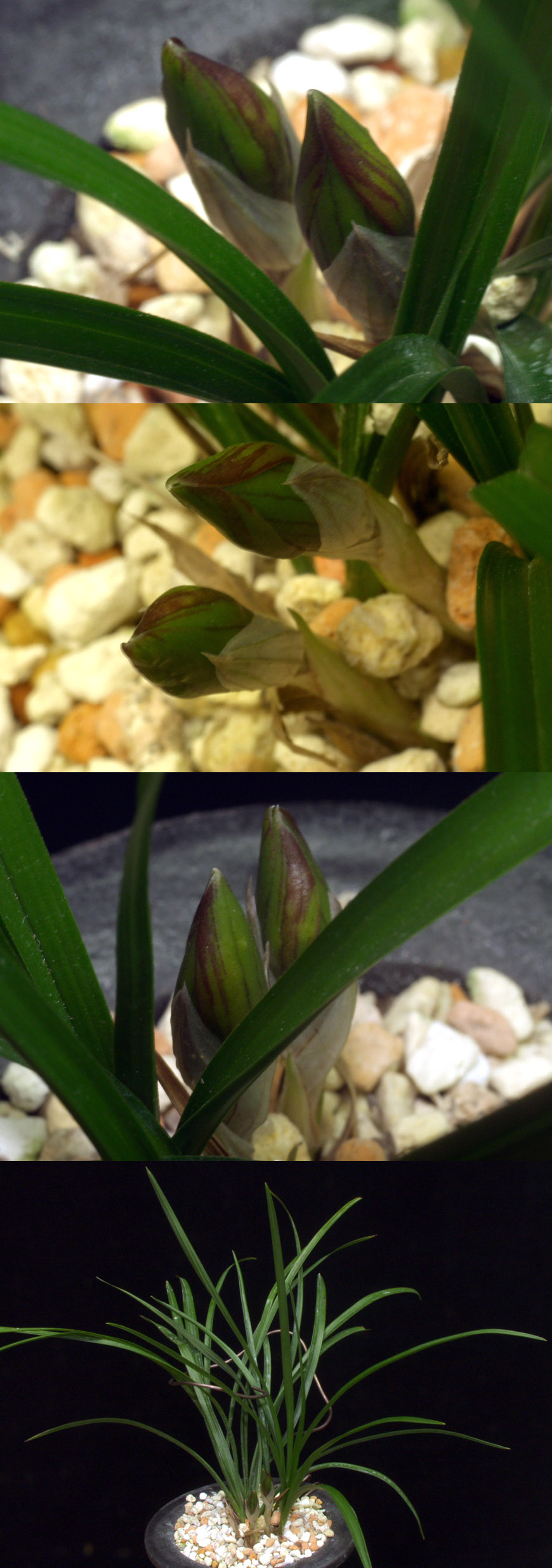 ������ ū������ �� �� �ֽ��ϴ�.