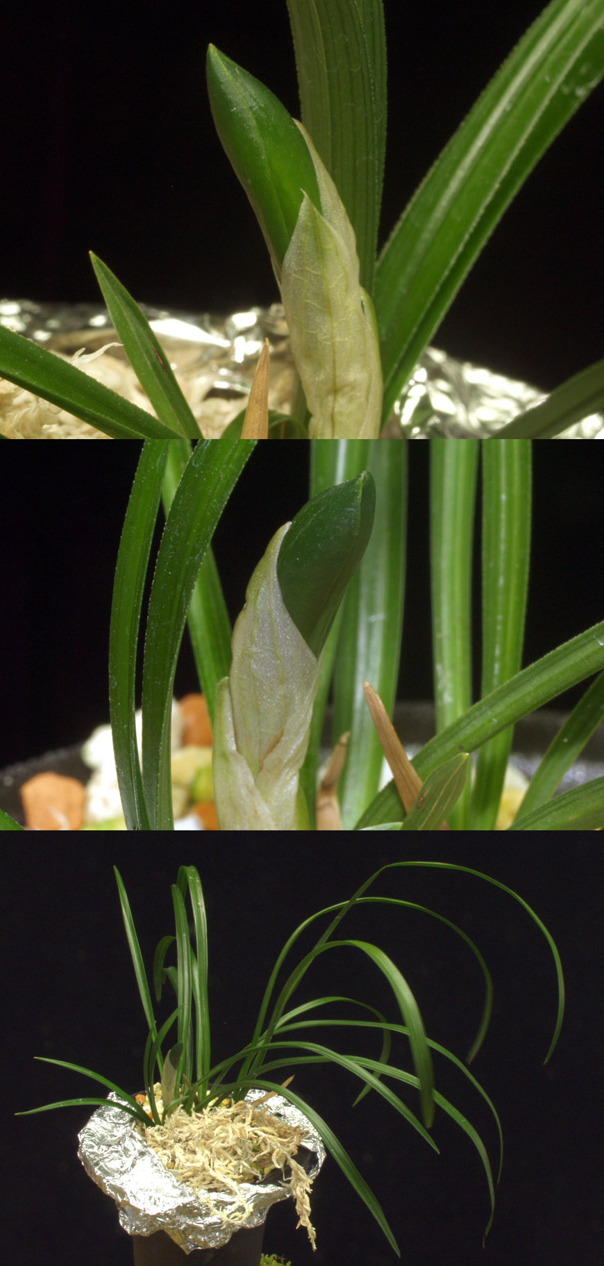 ������ ū������ �� �� �ֽ��ϴ�.