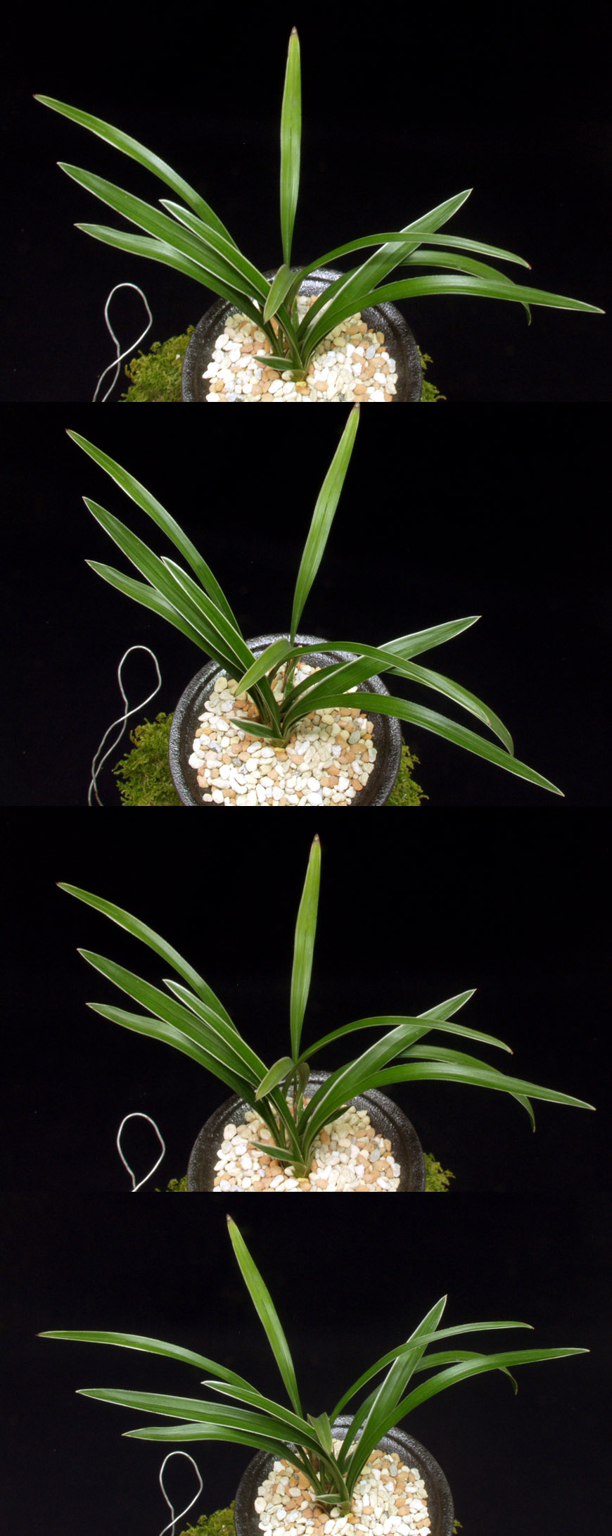 ������ ū������ �� �� �ֽ��ϴ�.