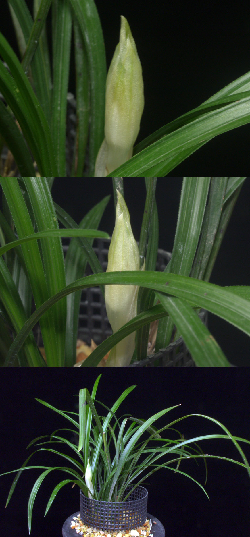 ������ ū������ �� �� �ֽ��ϴ�.