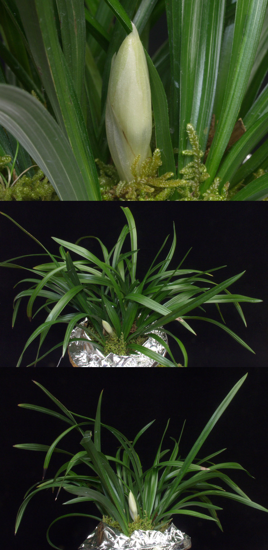 ������ ū������ �� �� �ֽ��ϴ�.