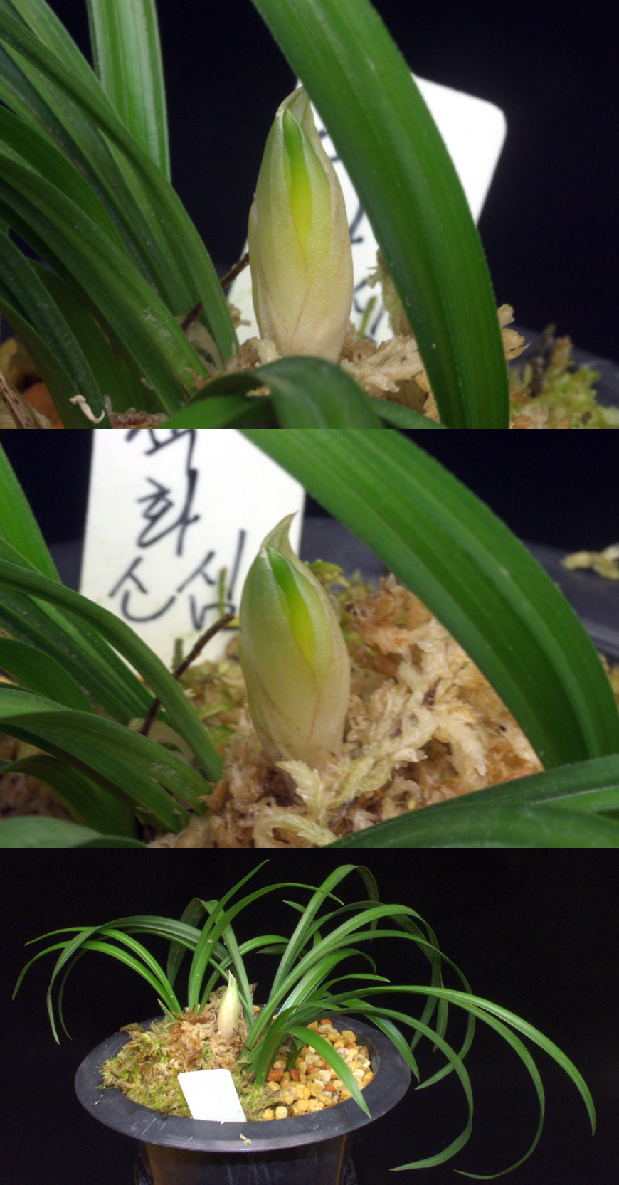 ������ ū������ �� �� �ֽ��ϴ�.