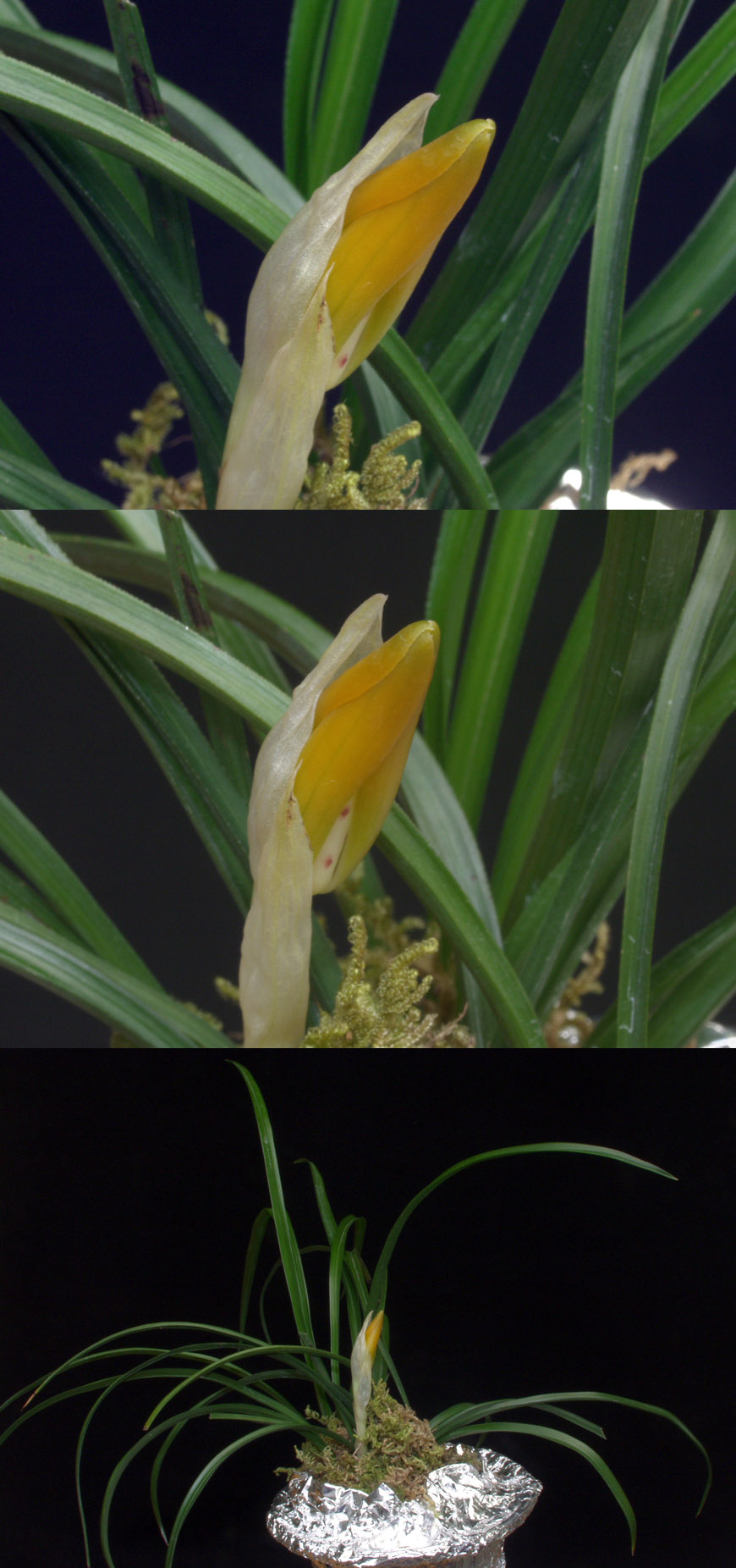 ������ ū������ �� �� �ֽ��ϴ�.