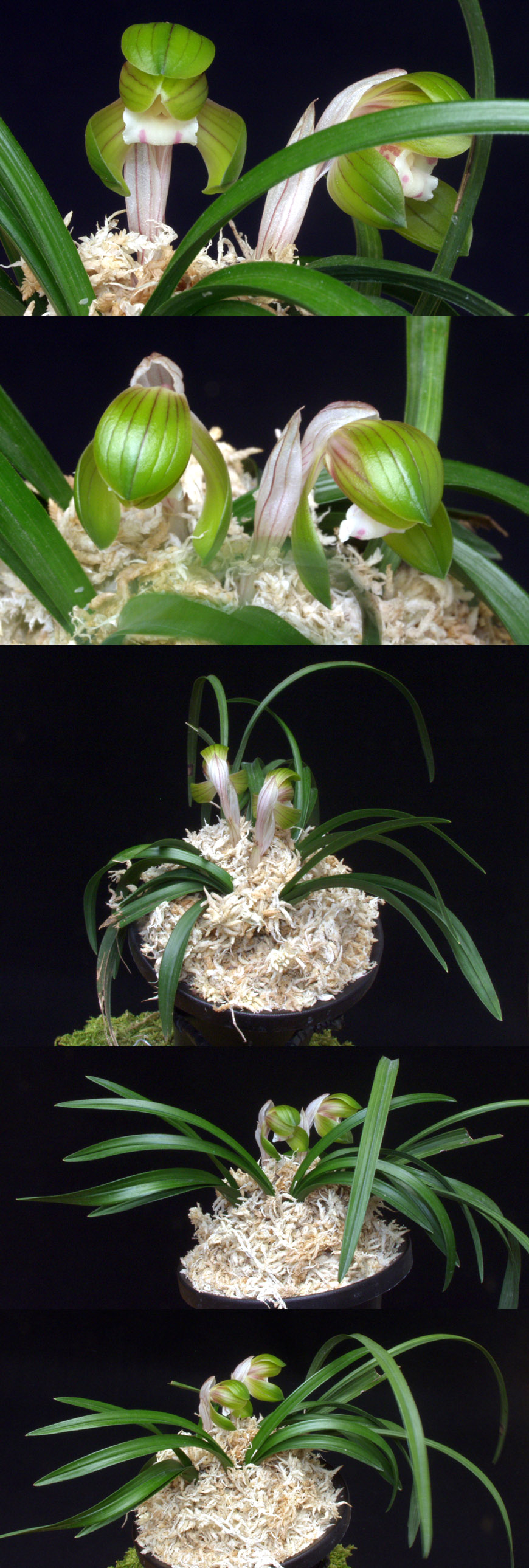 ������ ū������ �� �� �ֽ��ϴ�.