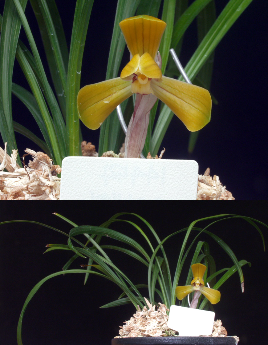 ������ ū������ �� �� �ֽ��ϴ�.