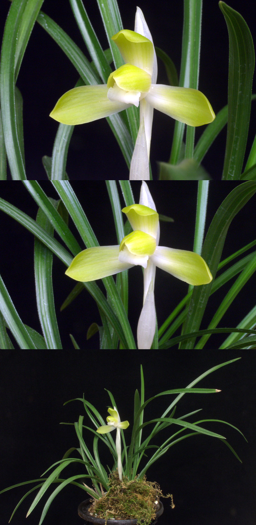 ������ ū������ �� �� �ֽ��ϴ�.