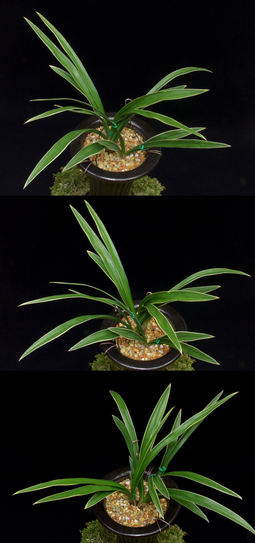 ������ ū������ �� �� �ֽ��ϴ�.