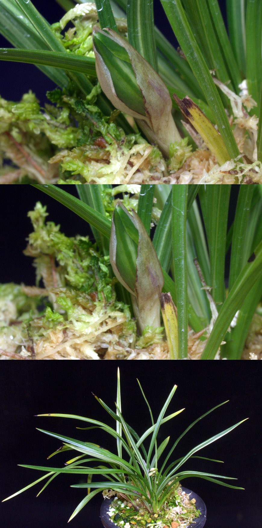 ������ ū������ �� �� �ֽ��ϴ�.