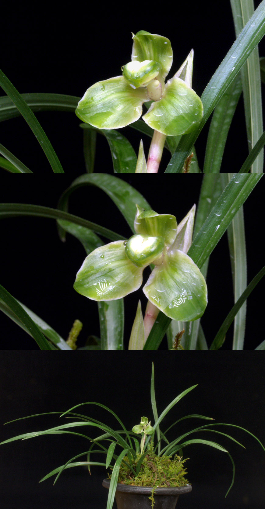 ������ ū������ �� �� �ֽ��ϴ�.