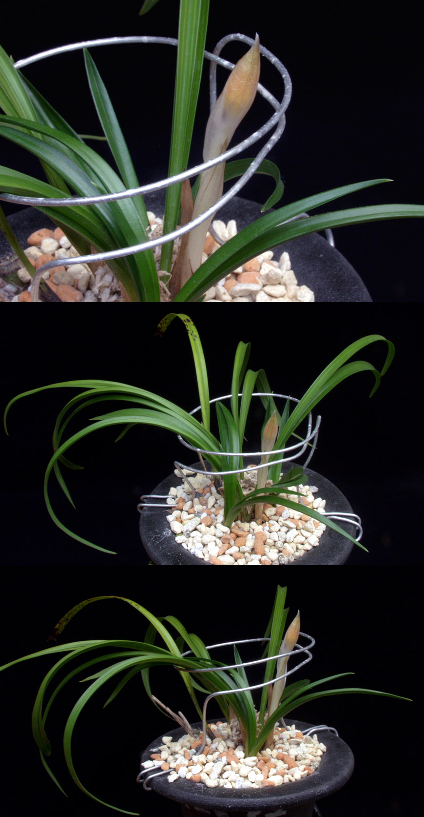 ������ ū������ �� �� �ֽ��ϴ�.