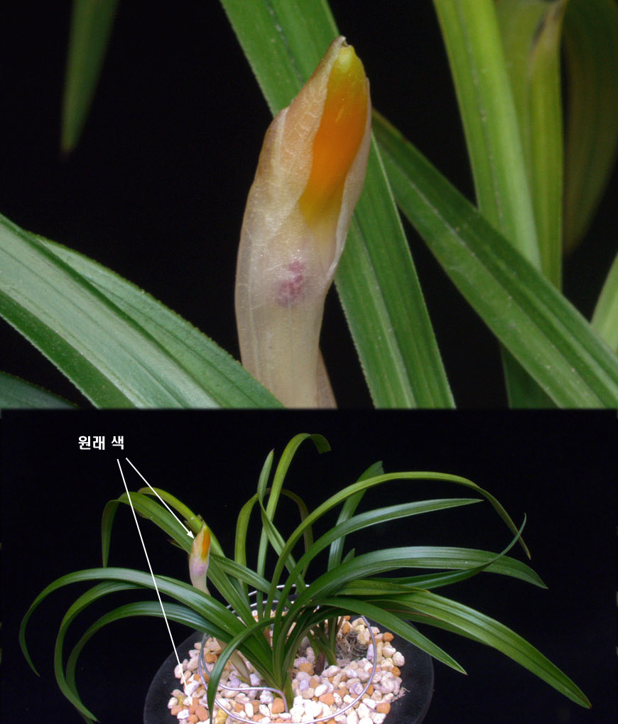 ������ ū������ �� �� �ֽ��ϴ�.