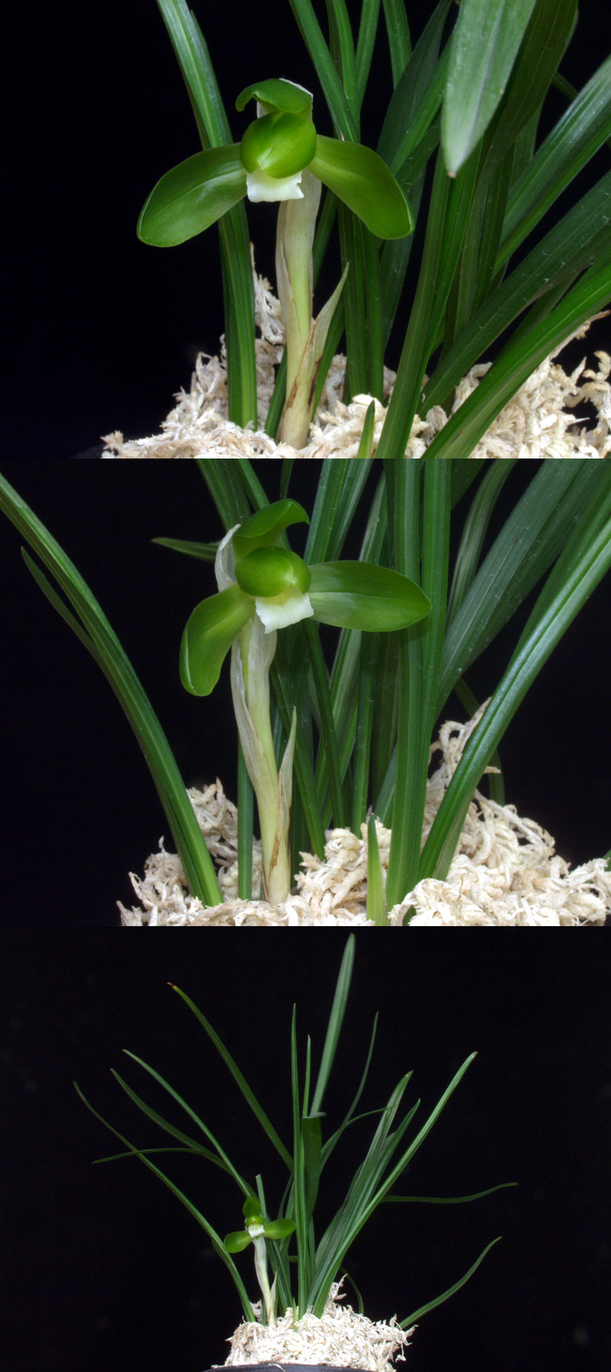 ������ ū������ �� �� �ֽ��ϴ�.