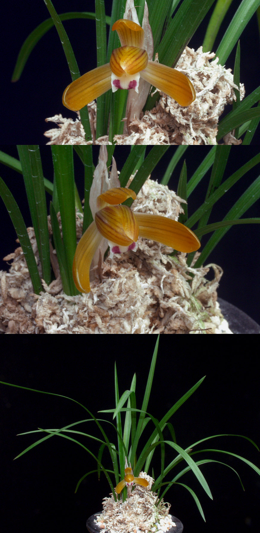 ������ ū������ �� �� �ֽ��ϴ�.