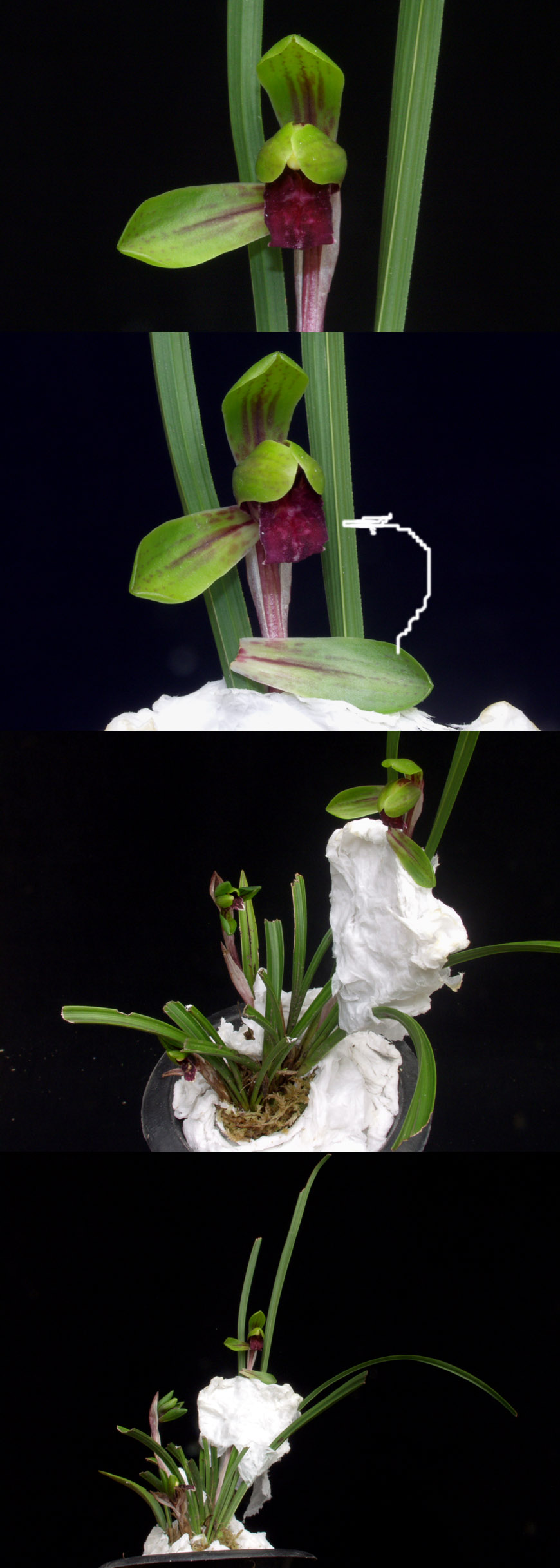 ������ ū������ �� �� �ֽ��ϴ�.