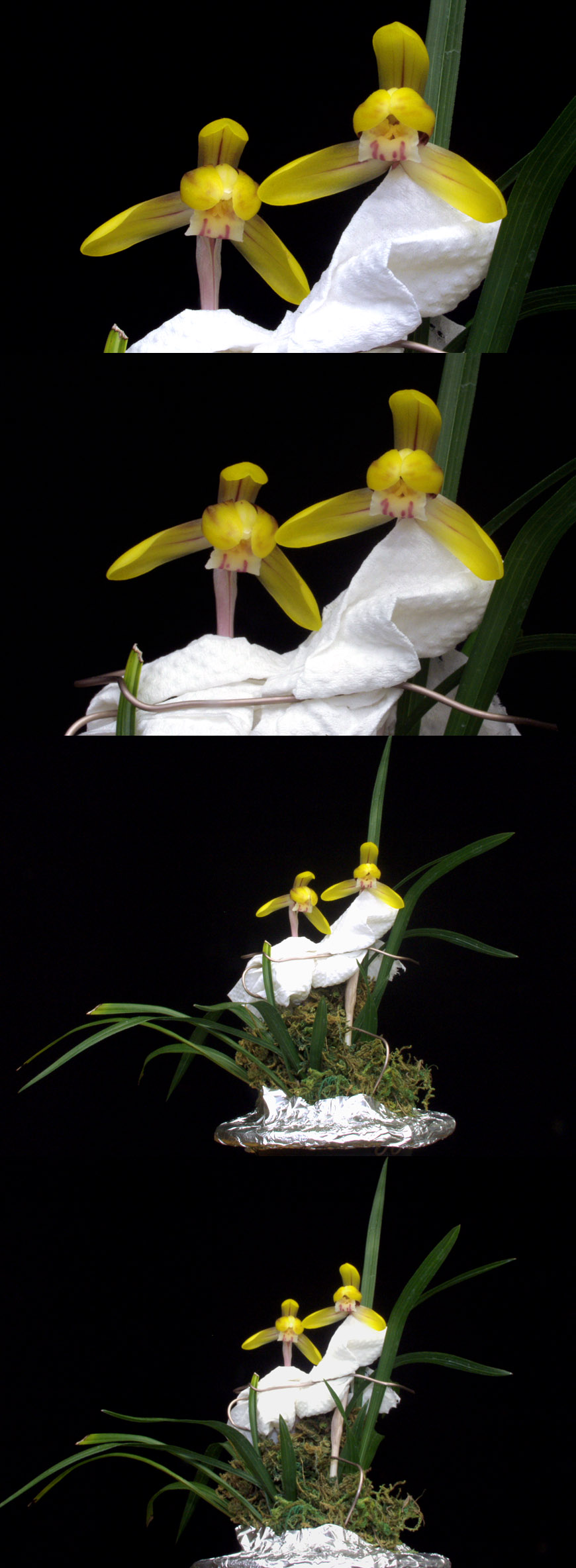 ������ ū������ �� �� �ֽ��ϴ�.