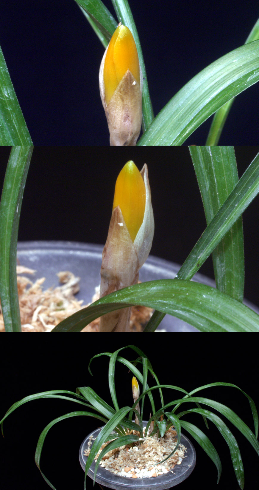 ������ ū������ �� �� �ֽ��ϴ�.