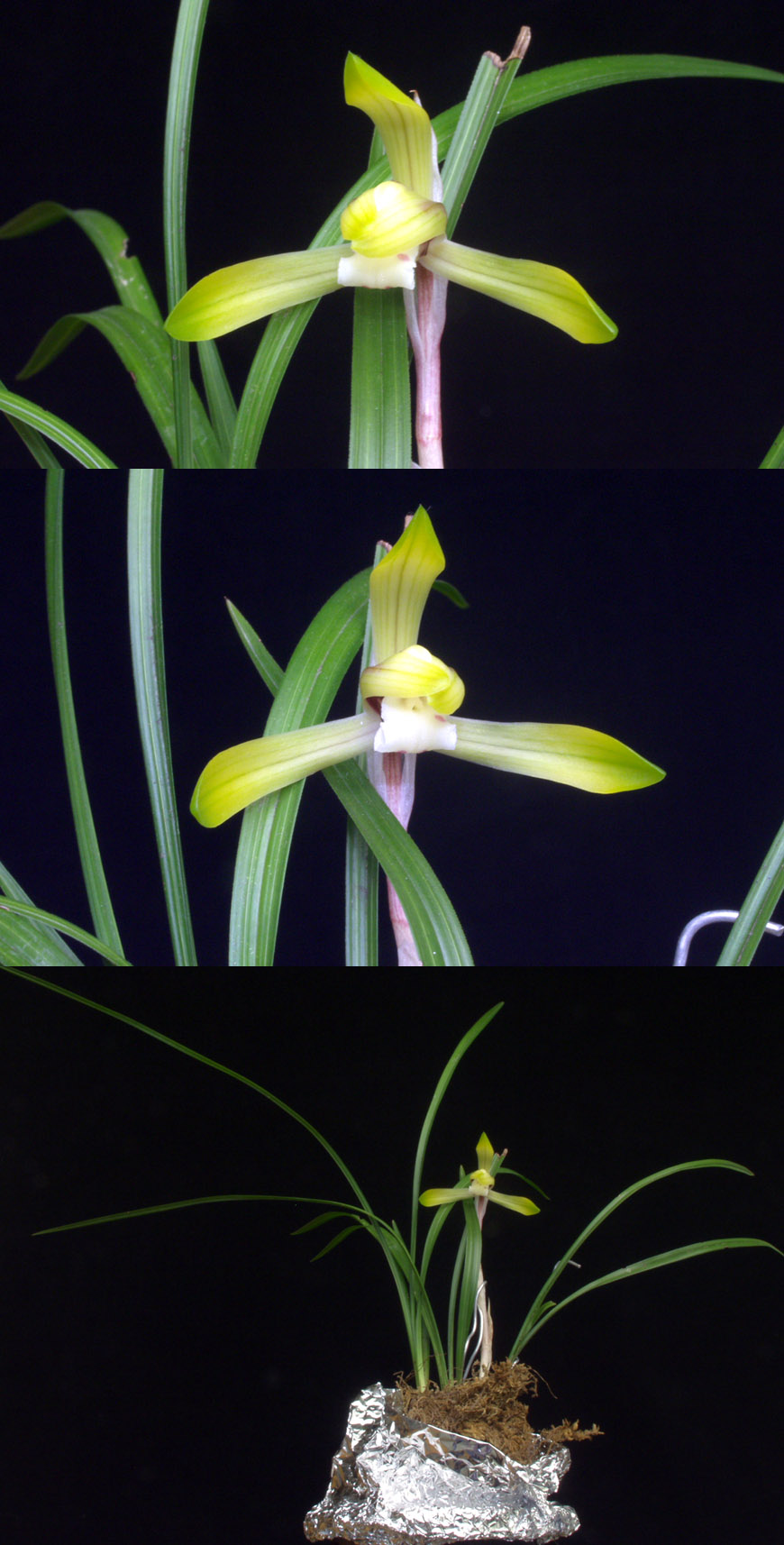 ������ ū������ �� �� �ֽ��ϴ�.