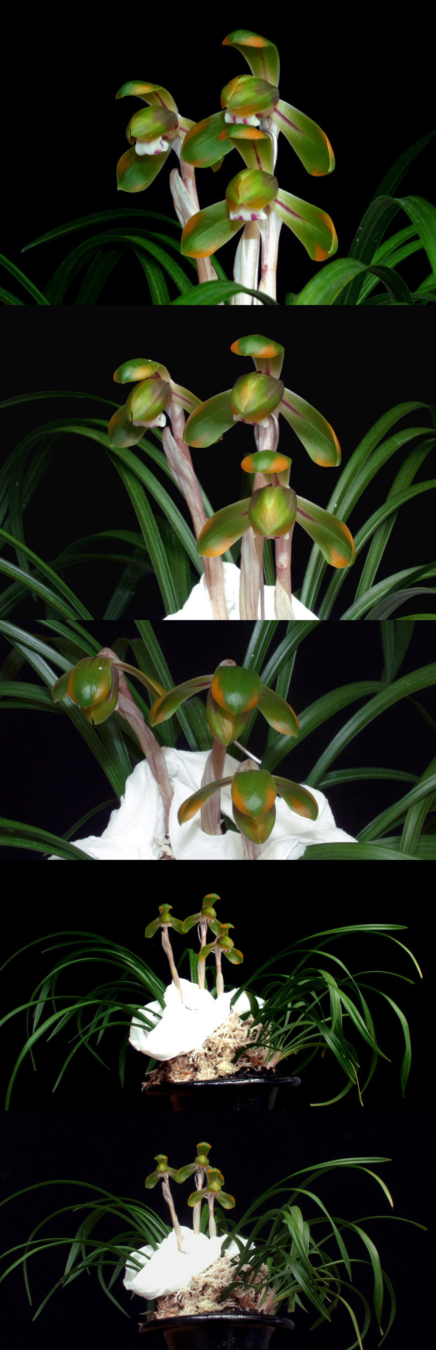 ������ ū������ �� �� �ֽ��ϴ�.