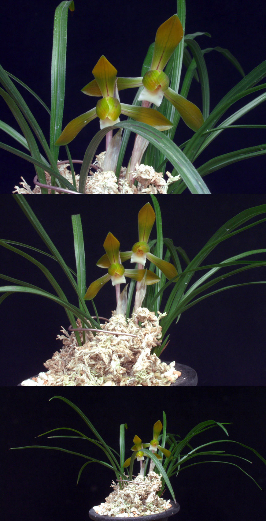 ������ ū������ �� �� �ֽ��ϴ�.