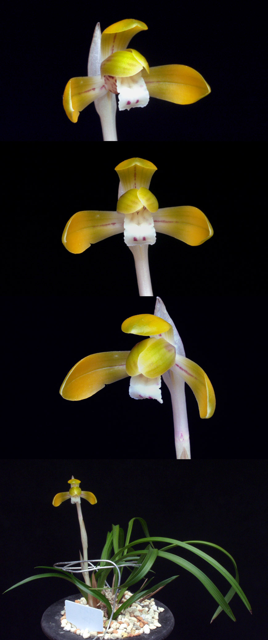 ������ ū������ �� �� �ֽ��ϴ�.