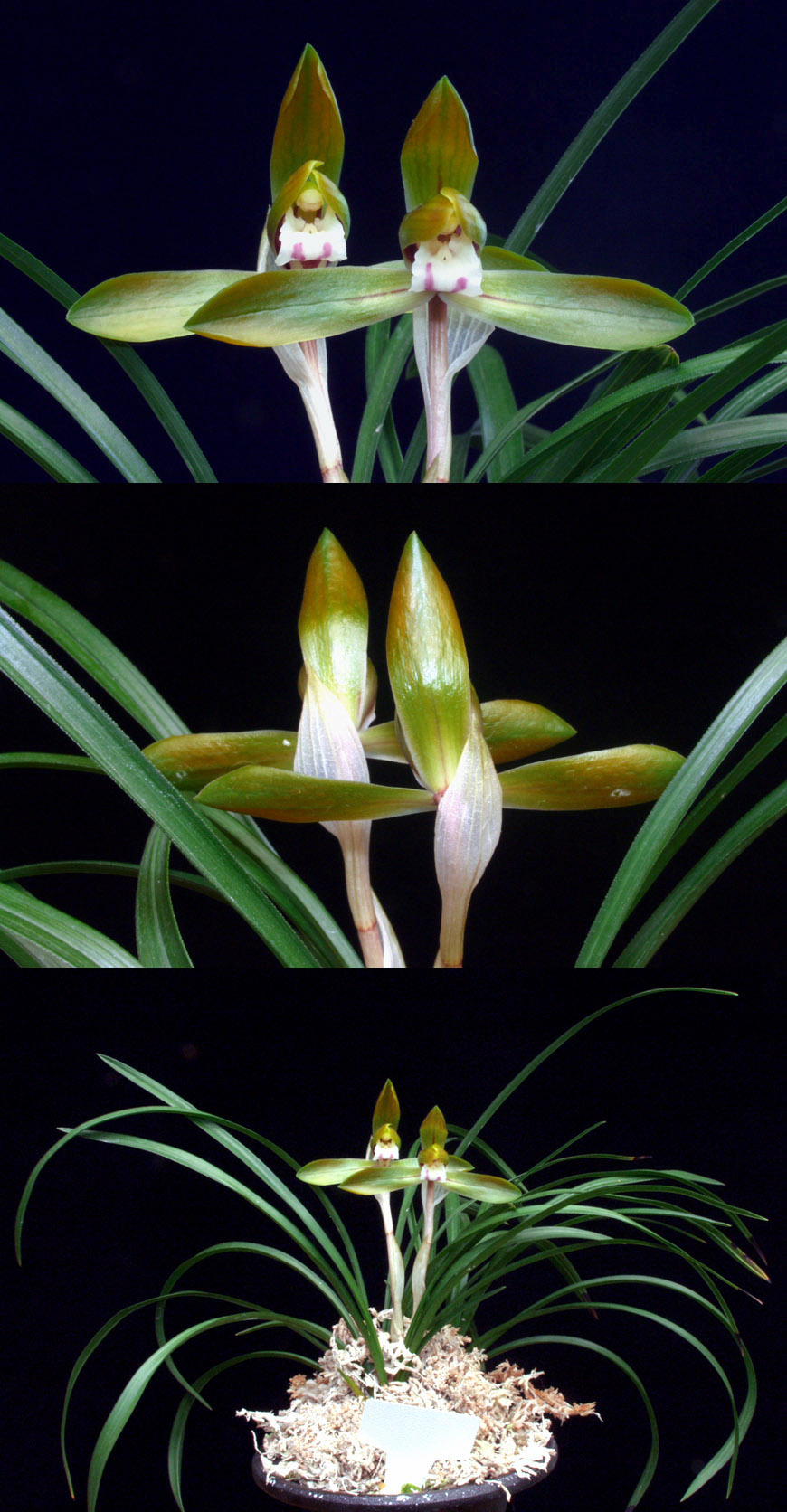 ������ ū������ �� �� �ֽ��ϴ�.