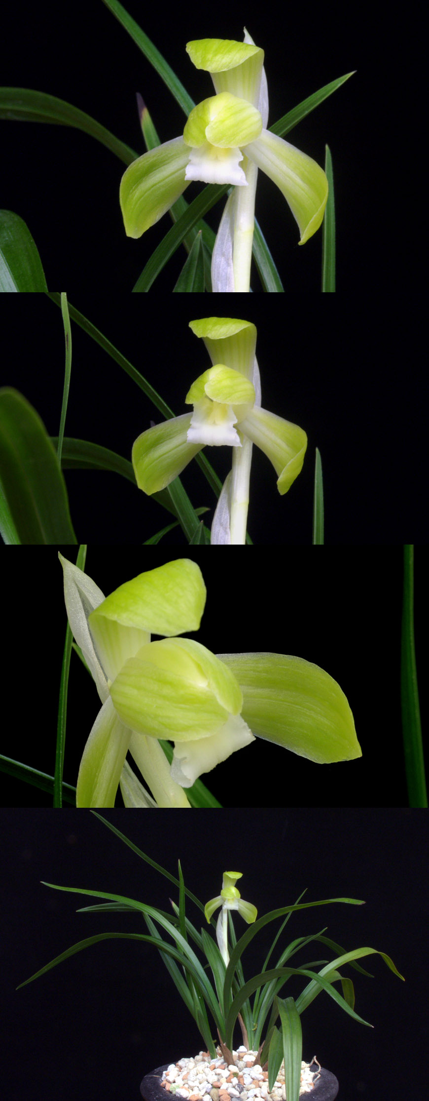 ������ ū������ �� �� �ֽ��ϴ�.