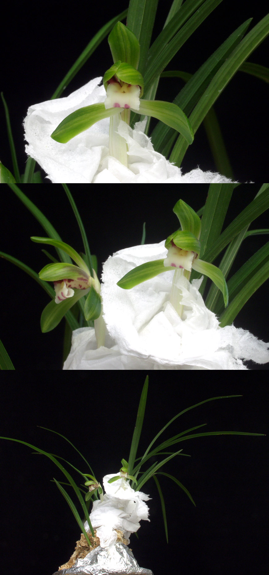 ������ ū������ �� �� �ֽ��ϴ�.