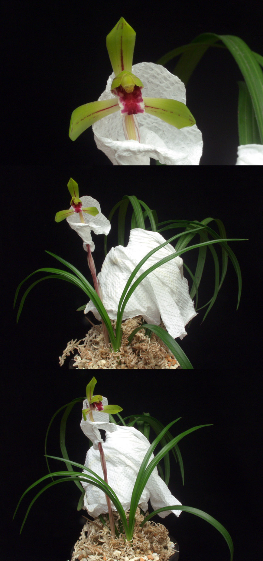 ������ ū������ �� �� �ֽ��ϴ�.