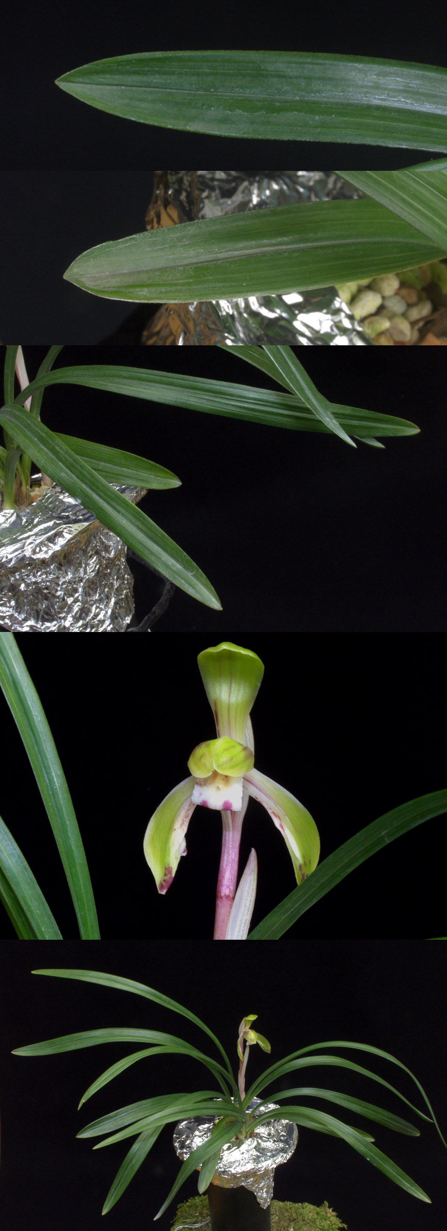 ������ ū������ �� �� �ֽ��ϴ�.