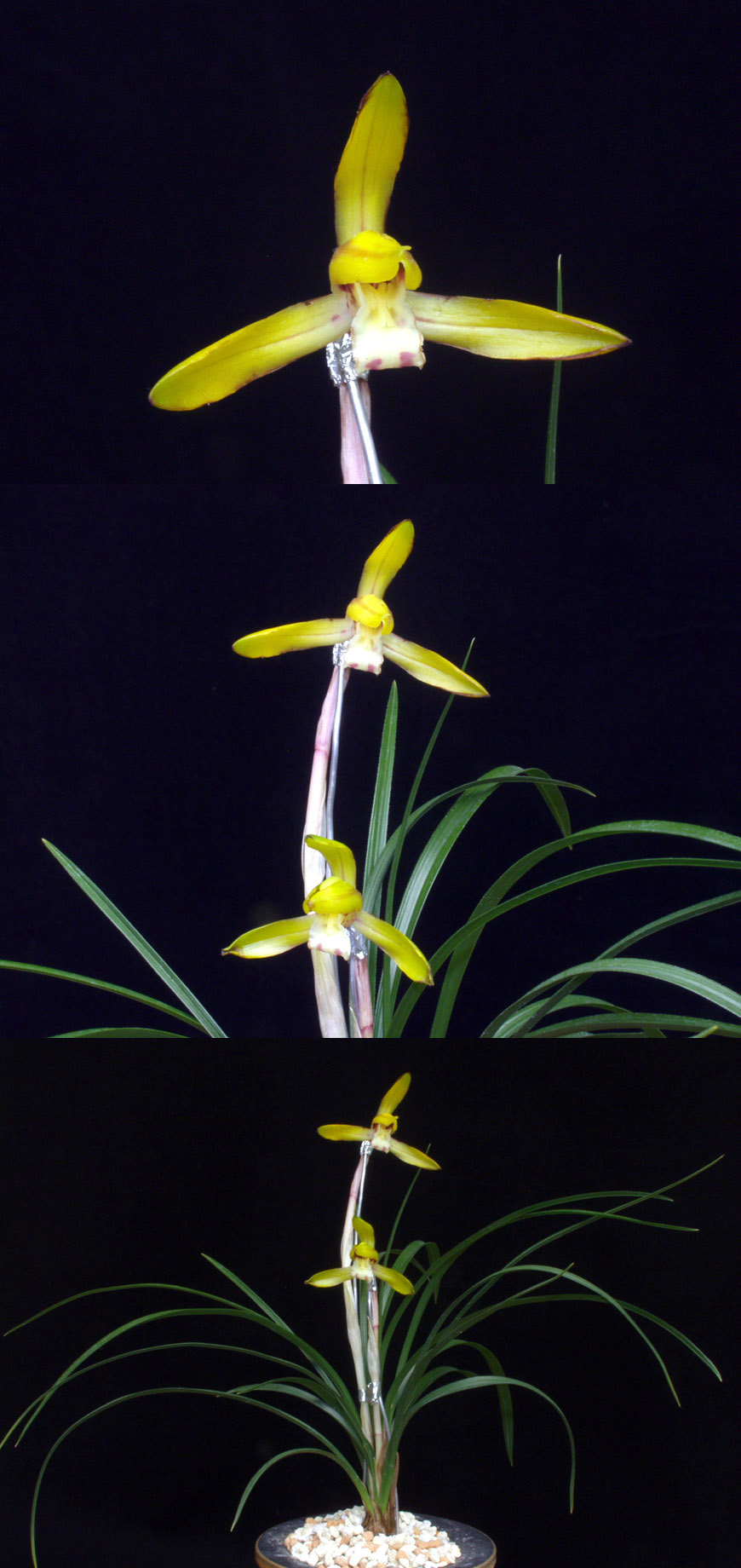 ������ ū������ �� �� �ֽ��ϴ�.